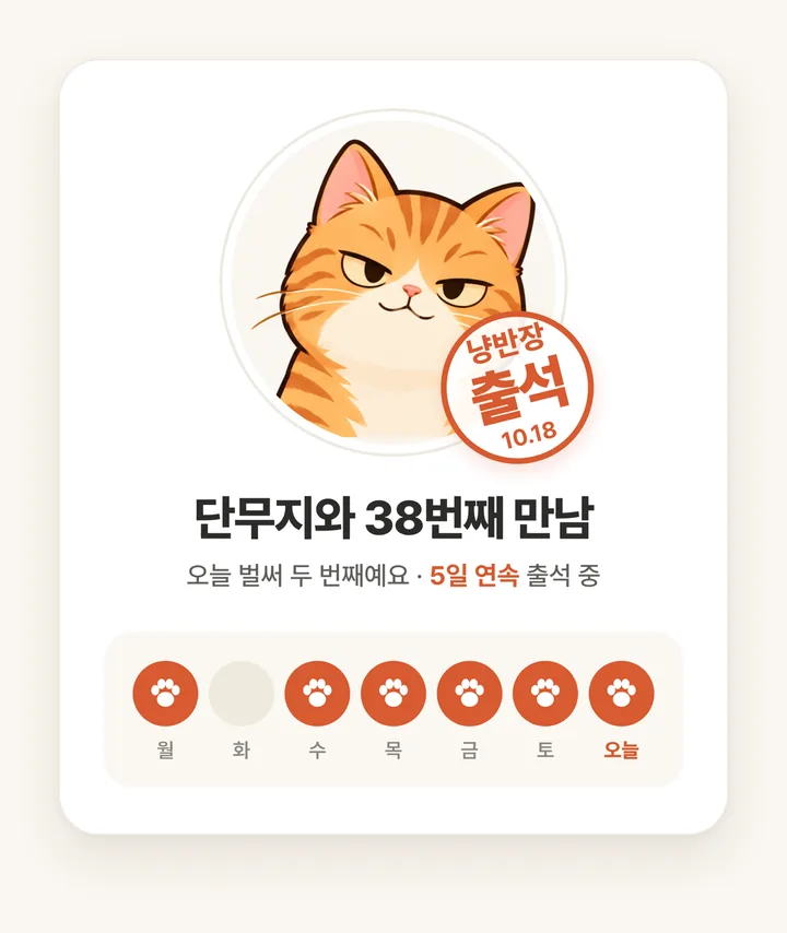 단무지와 38번째 만남, 5일 연속 출석 중이라는 출석 화면